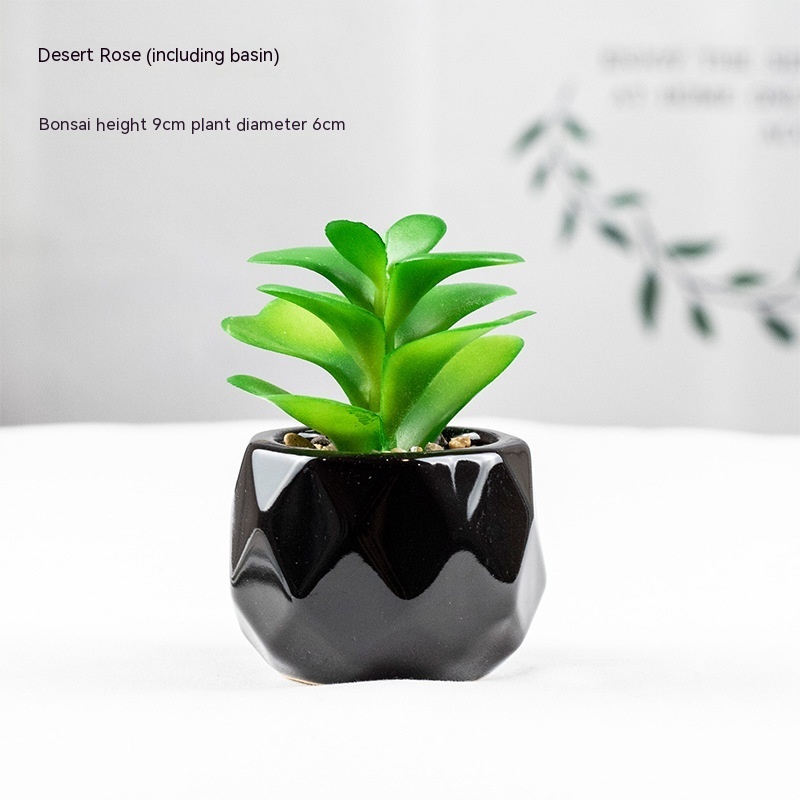 Artificial Green Plant Succulent Artificial Plant Home Furnishings - Image 6